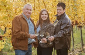TDR-Weingut Haimel-c-Cornelia Wurst, © Cornelia Wurst Drei Personen stoßen mit Weingläsern in einem herbstlichen Weinberg an.