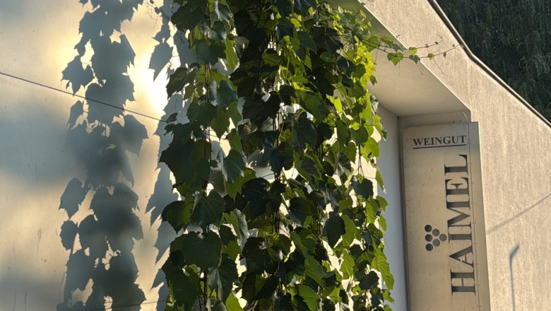 TDR-Weingut Haimel outside, © Weingut Haimel Exterior view of the Haimel winery with vines on the wall.