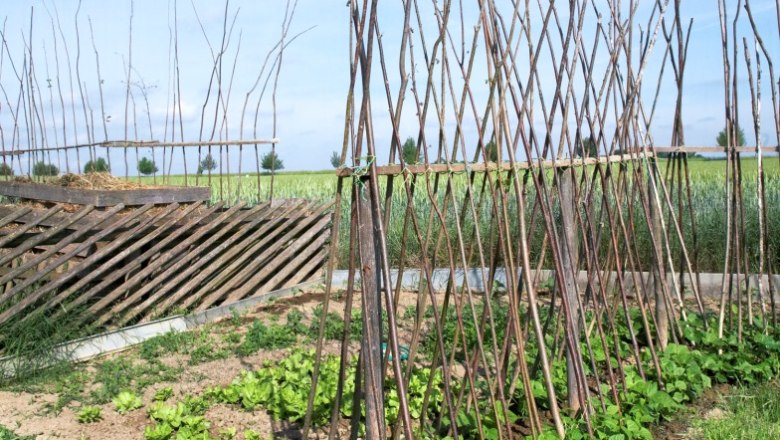 Feuer-Erde Garten, © Natur im Garten/Alexander Haiden Ein Garten mit Holzgestellen für Kletterpflanzen und grünem Gemüse im Vordergrund.
