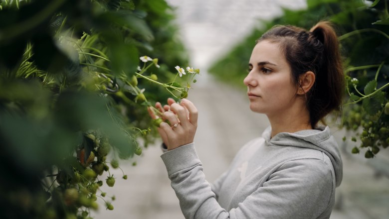 Lehners Beerenstadl, © Moststraße, dochbodnliacht Lehners Beerenstadl, © Moststraße, dochbodnliacht