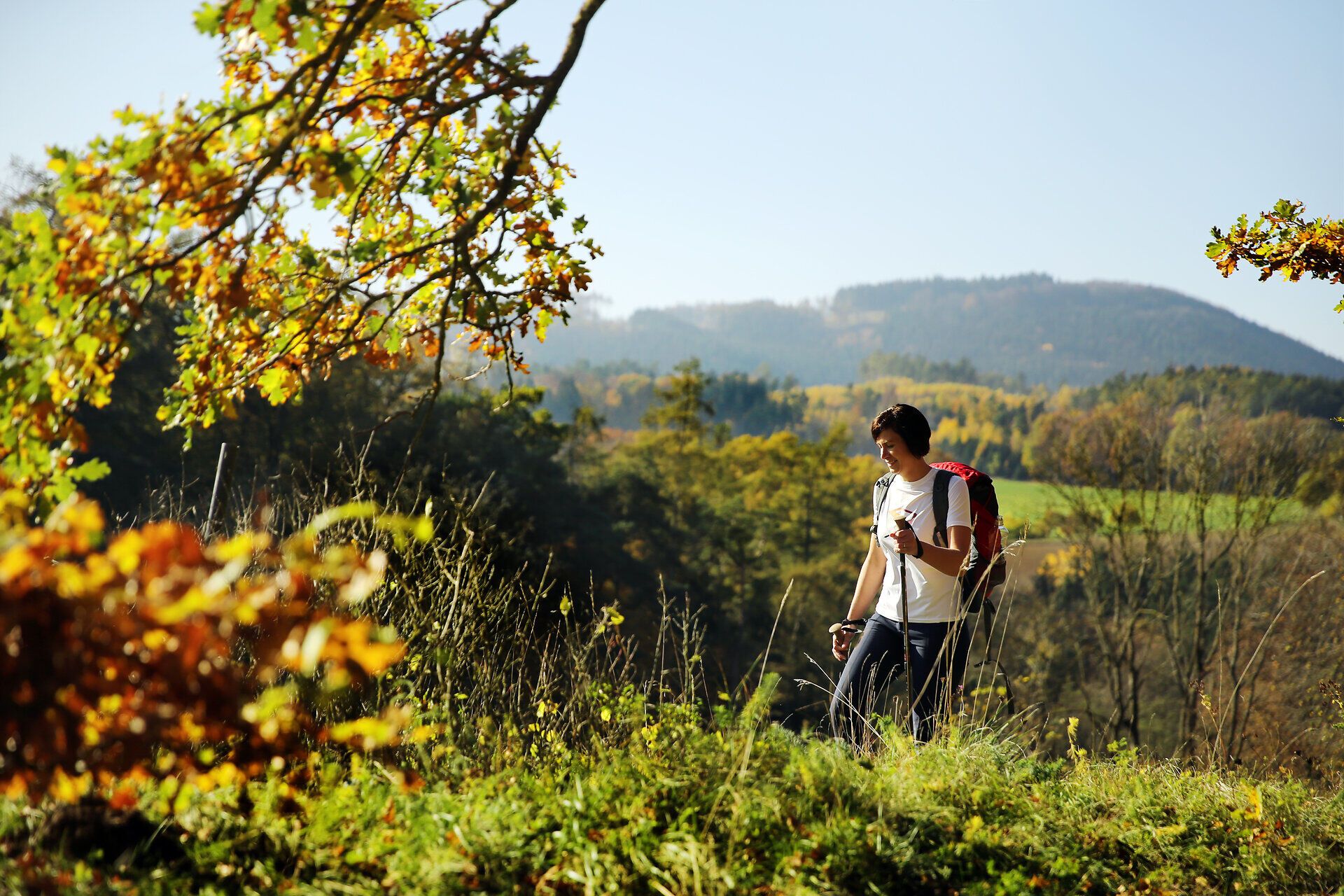 Ein Wanderer genießt die frische Bergluft und die atemberaubende Aussicht auf die sanften Hügel des Melker Alpenvorlands. Umgeben von bunten Herbstblättern und der ruhigen Natur, lädt die Landschaft dazu ein, die Seele baumeln zu lassen und die Schönheit der Umgebung zu entdecken.