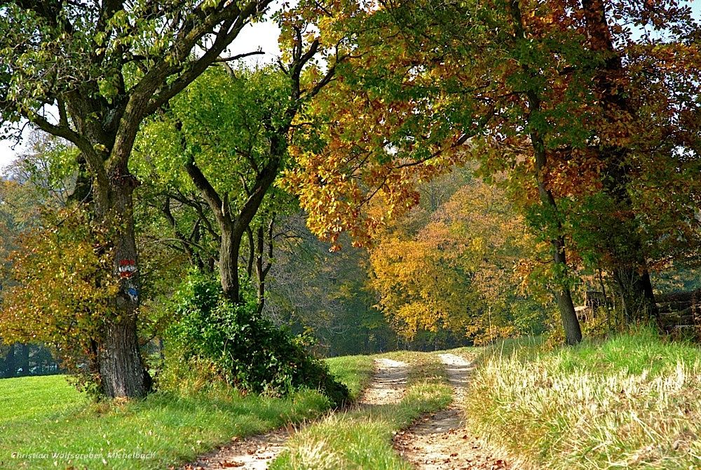 Feldweg nach Oberpirath