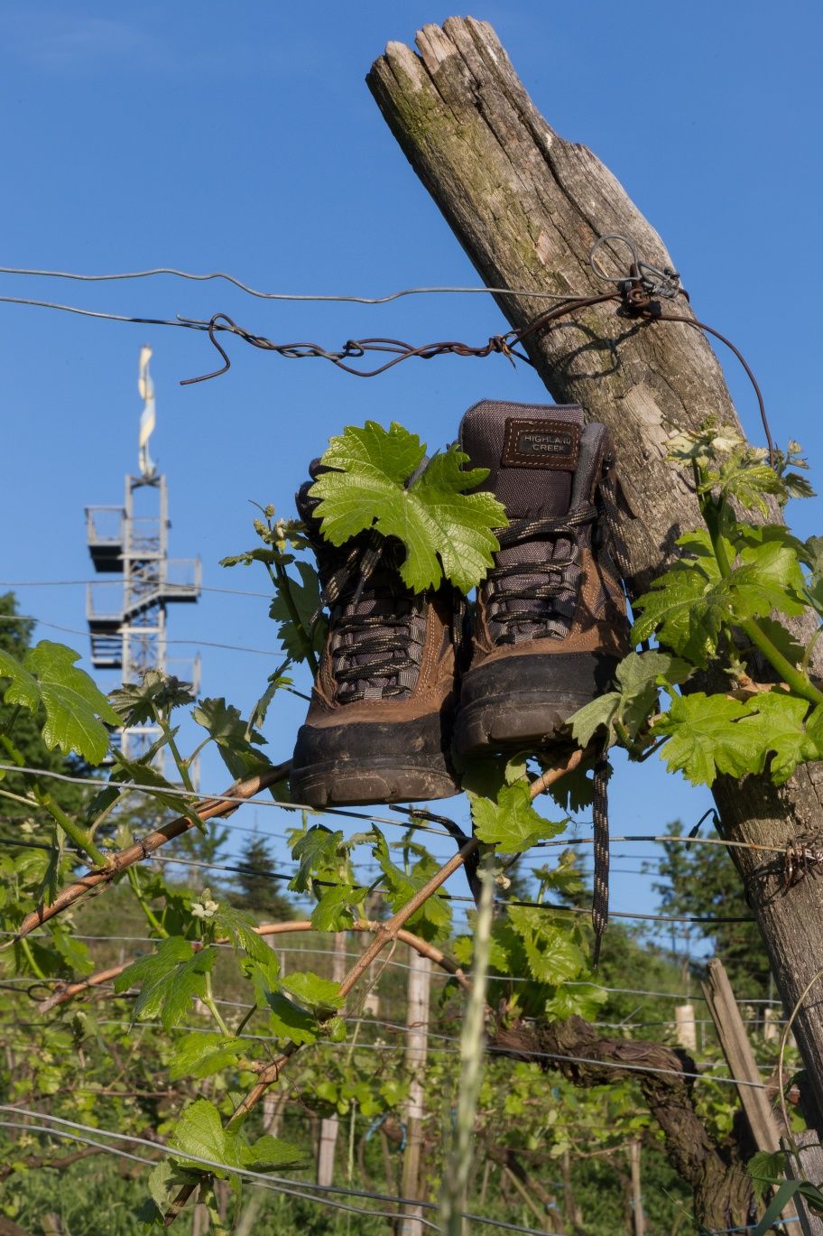 Korkenzieher Traismauer