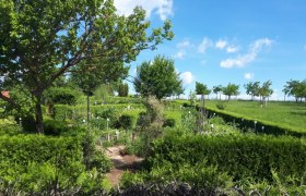 Ein gepflegter Kräutergarten mit grünen Hecken und Bäumen unter blauem Himmel.