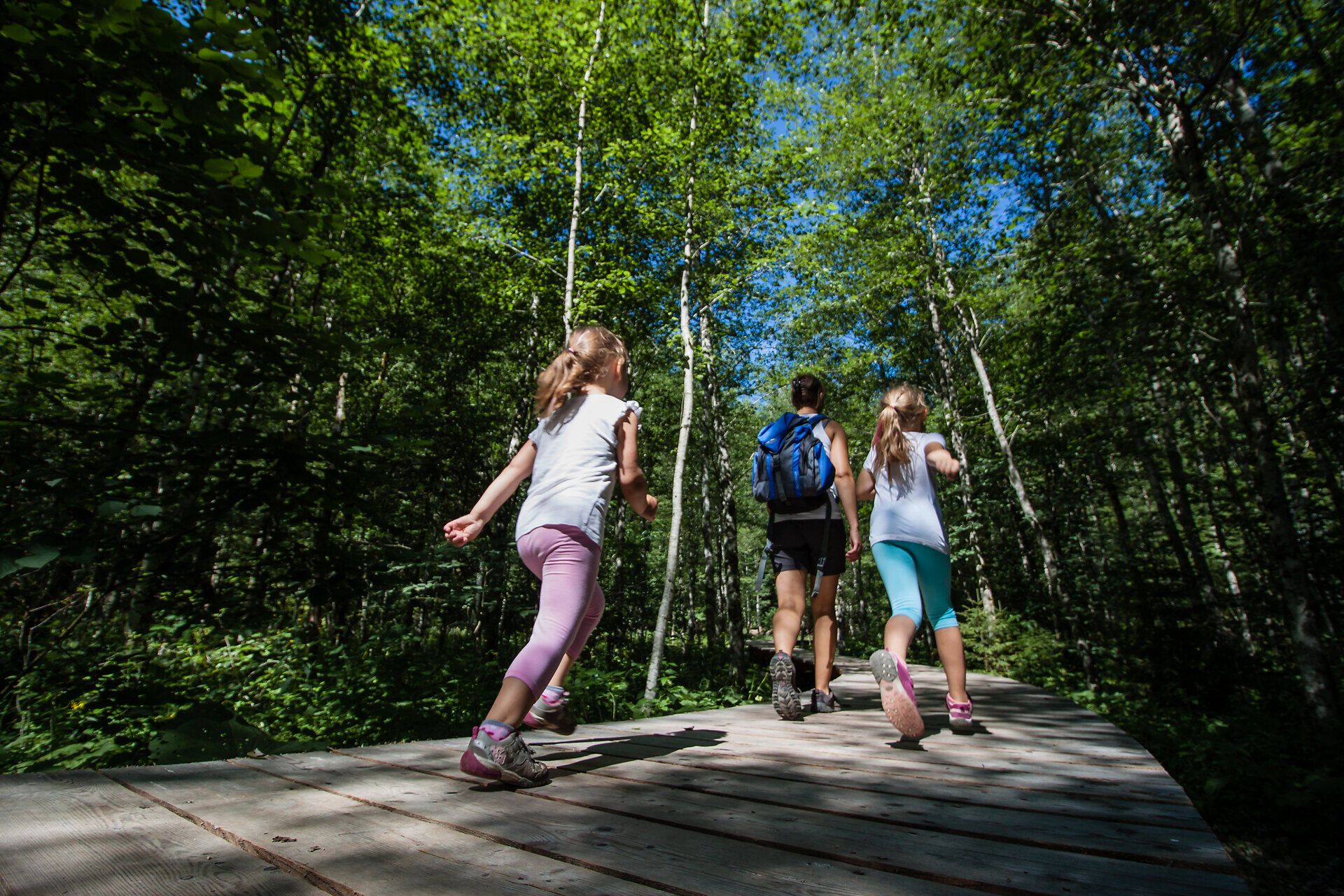 Die fröhlichen Kinder laufen voller Energie den Themenweg entlang, umgeben von üppigem Grün und dem sanften Licht der Sonne, das durch die Bäume strahlt. Hier in der Erlebniswelt Mendlingtal wird die Natur lebendig und lädt Familien zu unvergesslichen Abenteuern ein.