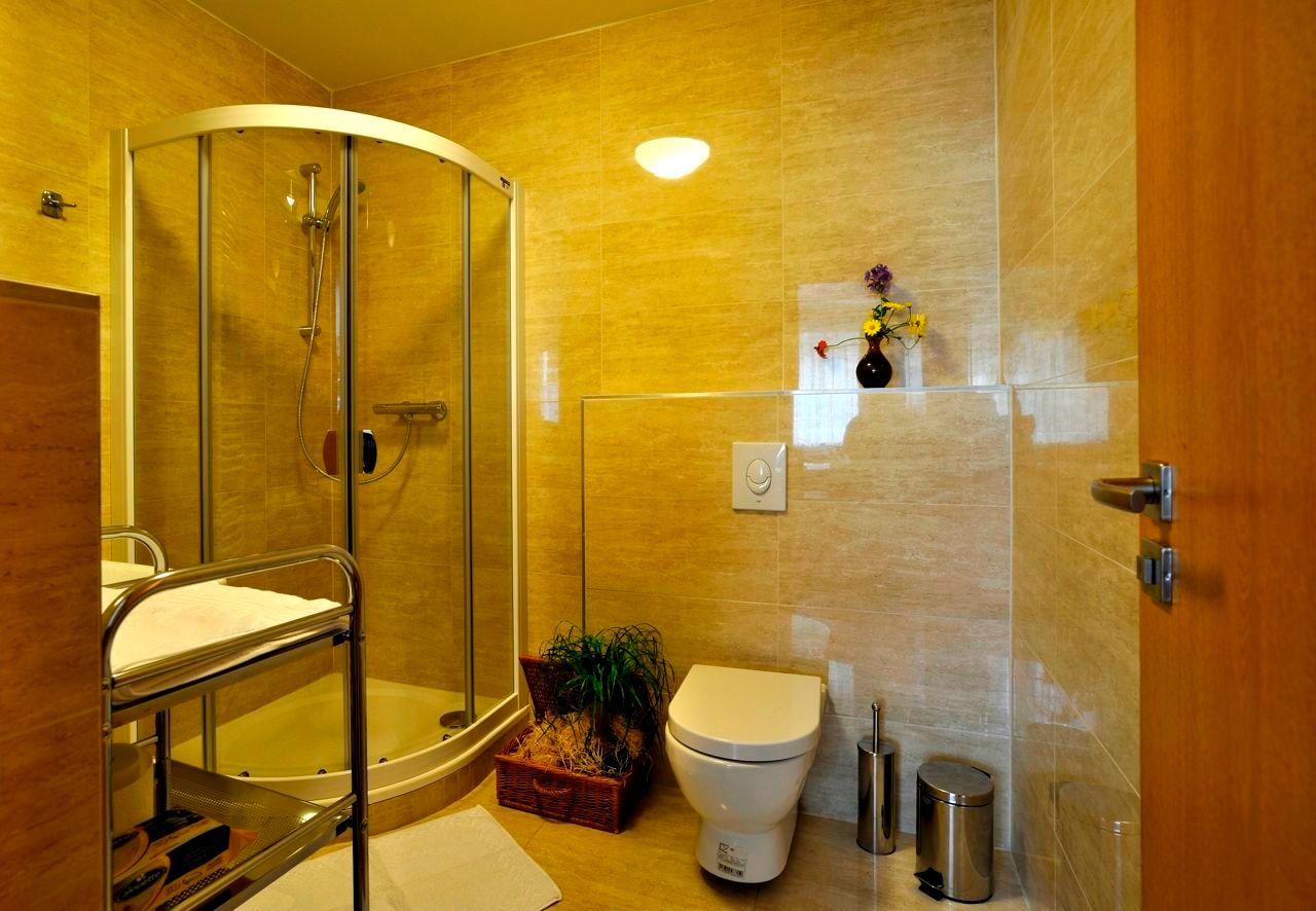 Modernes Badezimmer mit Dusche, WC und Pflanzen.