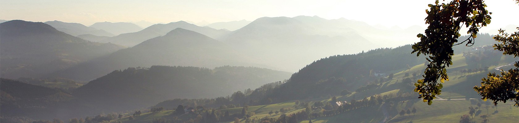 Herbst im Mostviertel, &copy; Mostviertel Tourismus, weinfranz.at