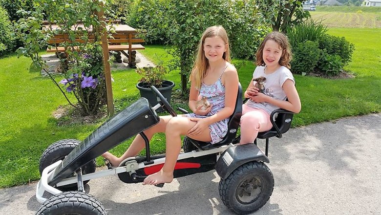 Go-kart, © Lothspieler