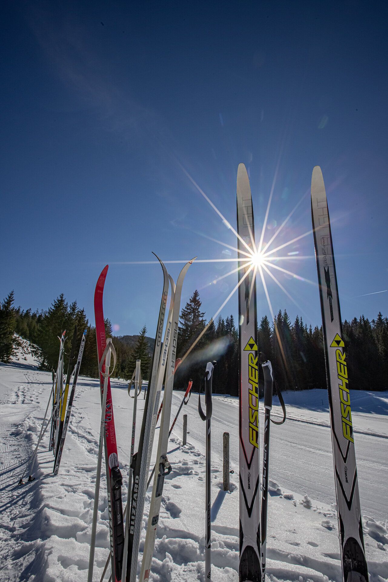 Die Sonne strahlt über die schneebedeckten Hügel, während die Langlaufski bereitstehen, um die winterliche Landschaft zu erkunden. Die klare, kalte Luft lädt dazu ein, die Ruhe der Natur zu genießen und die Schönheit des Winters in vollen Zügen auszukosten.