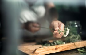 Kr&auml;utergarten Wohlbehagen, &copy; Moststra&szlig;e, dochbodnliacht