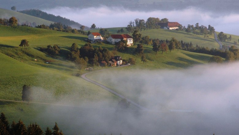 Herbstlandschaft mit grünen Hügeln, vereinzelten Häusern und Nebel.