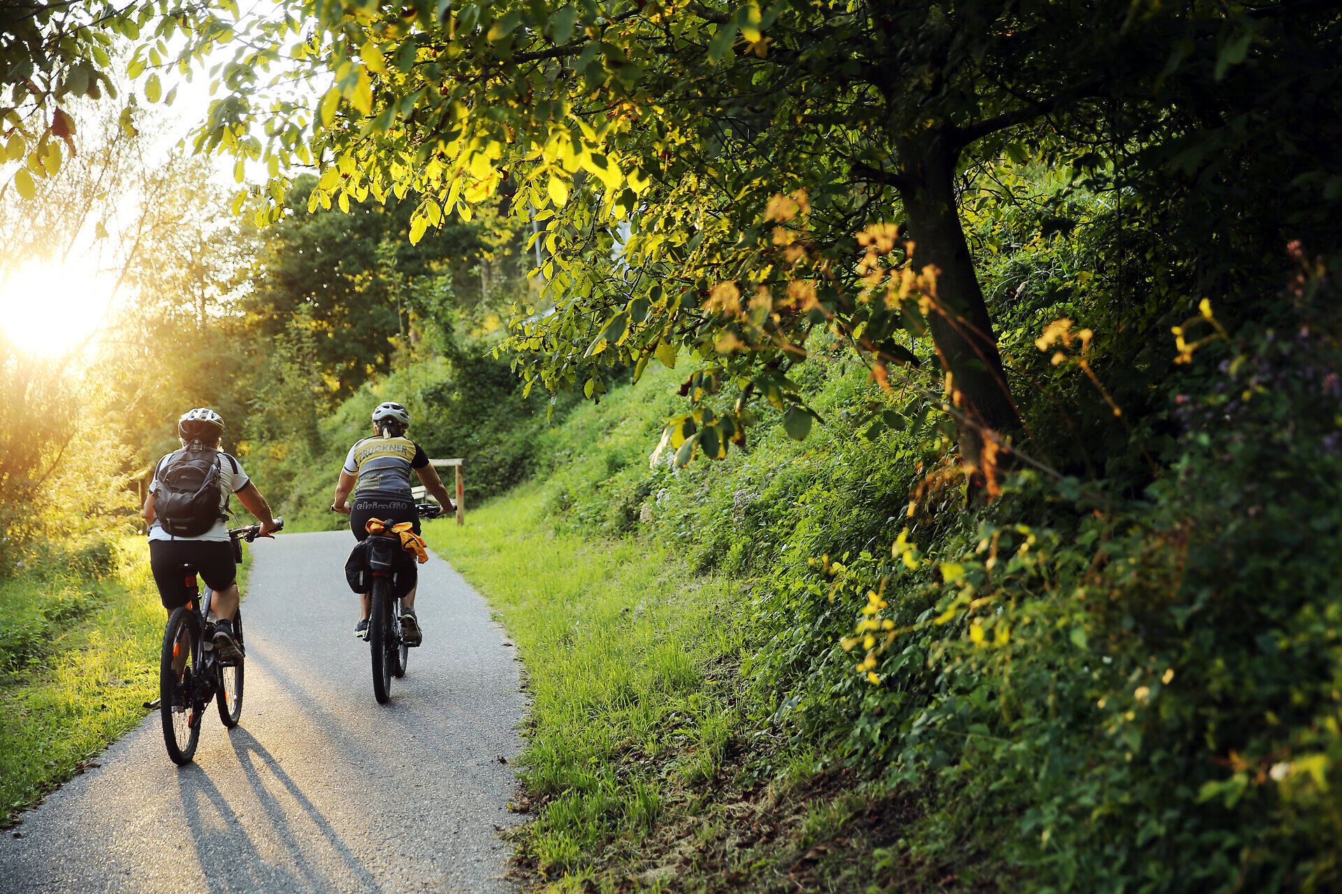 Ein Paar radelt entspannt entlang des malerischen Erlauftalradwegs, umgeben von üppigem Grün und dem sanften Licht der Abendsonne. Die ruhige Atmosphäre und die idyllische Landschaft laden dazu ein, die Natur in vollen Zügen zu genießen.