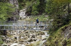 Ein malerischer Wanderweg führt über eine Holzbrücke, die sanft über das glitzernde Wasser eines klaren Baches schwingt. Umgeben von üppigem Grün und majestätischen Felsen, lädt die ruhige Atmosphäre dazu ein, die Schönheit der Natur in vollen Zügen zu genießen.