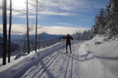 Cross-country ski tracks Puchenstuben with beautiful views, © Gemeinde Puchenstuben