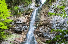 Ein Wasserfall fließt über eine steinige Klippe, umgeben von grüner Vegetation.