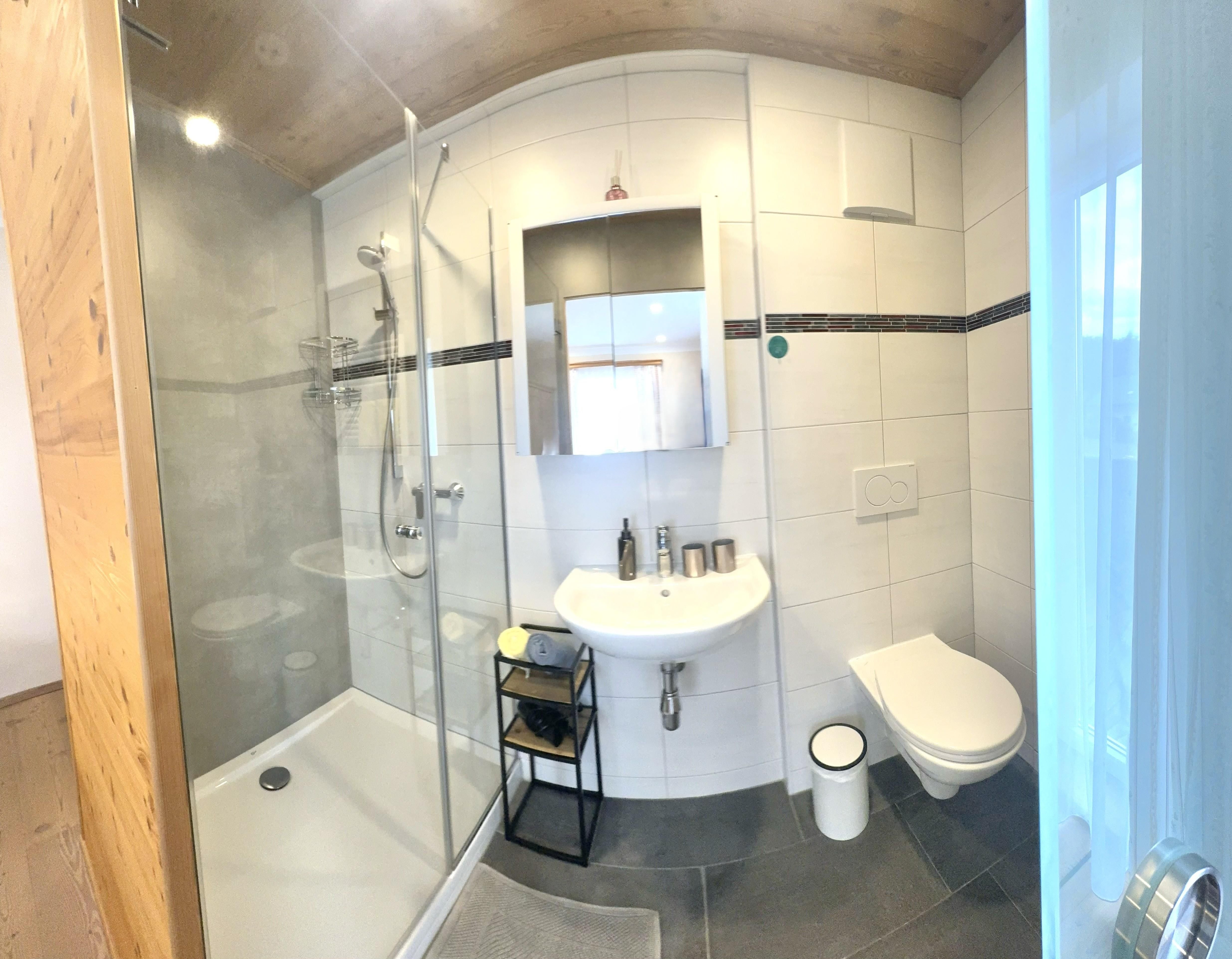 Modernes Badezimmer mit Dusche, Waschbecken und Toilette.