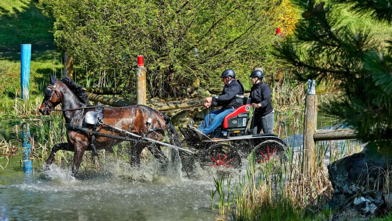 Karlstetten Driving and Riding Club, &copy; Gerty Schabas