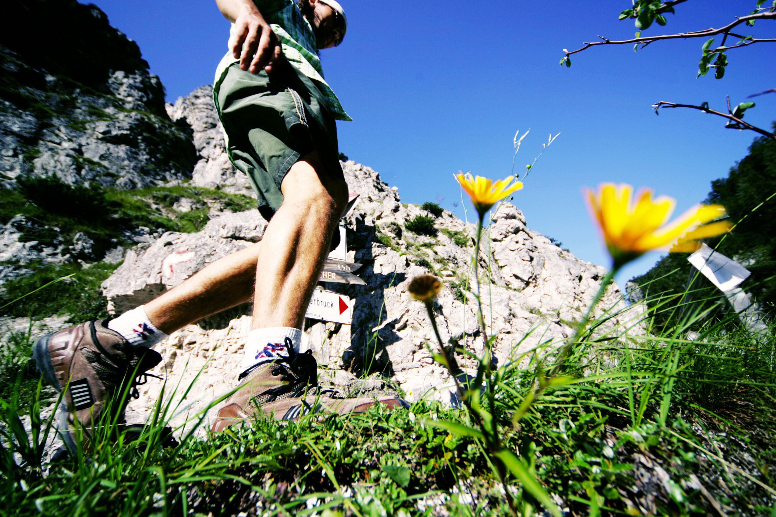 Nahaufnahme eines Wanderers in den Tormäuern, mit gelben Blumen im Vordergrund und Felsen im Hintergrund.