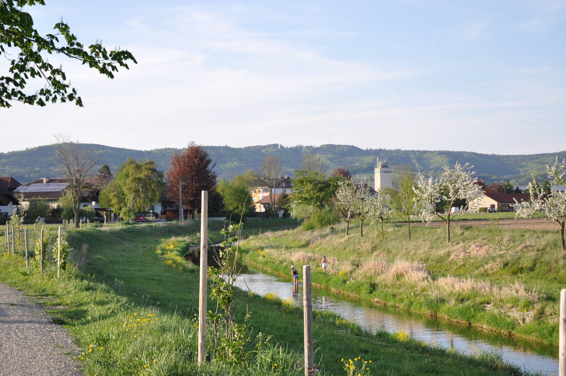 Landschaft mit Fluss, blühenden Bäumen und Hügeln im Hintergrund.