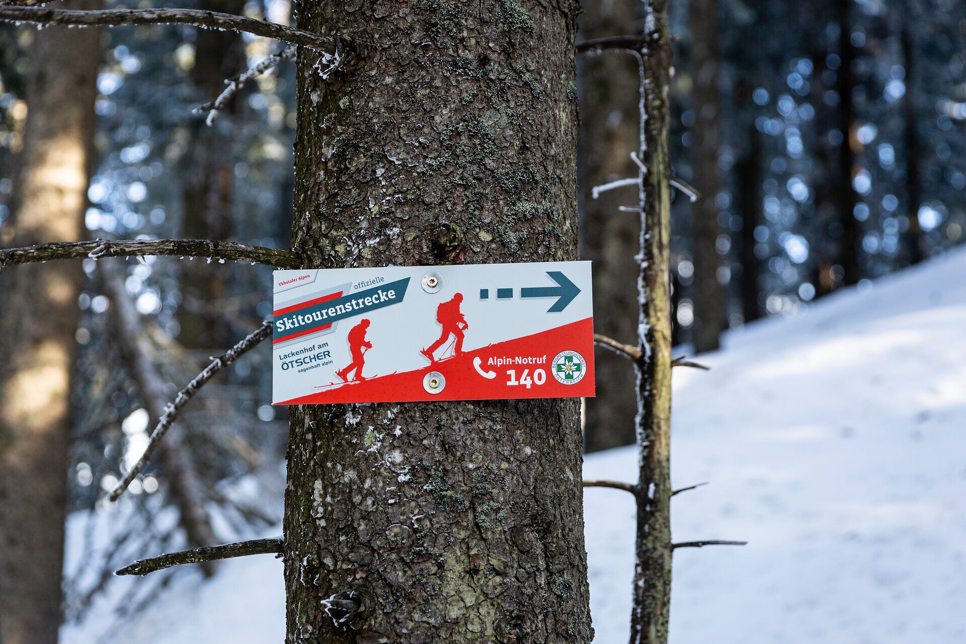 Die verschneiten Wälder rund um den Gr. Ötscher laden zu unvergesslichen Skitouren ein. Die klare, kalte Luft und die majestätischen Bäume schaffen eine magische Atmosphäre, die jeden Wintersportler begeistert. Hier erleben Sie die Schönheit der Natur in ihrer reinsten Form.