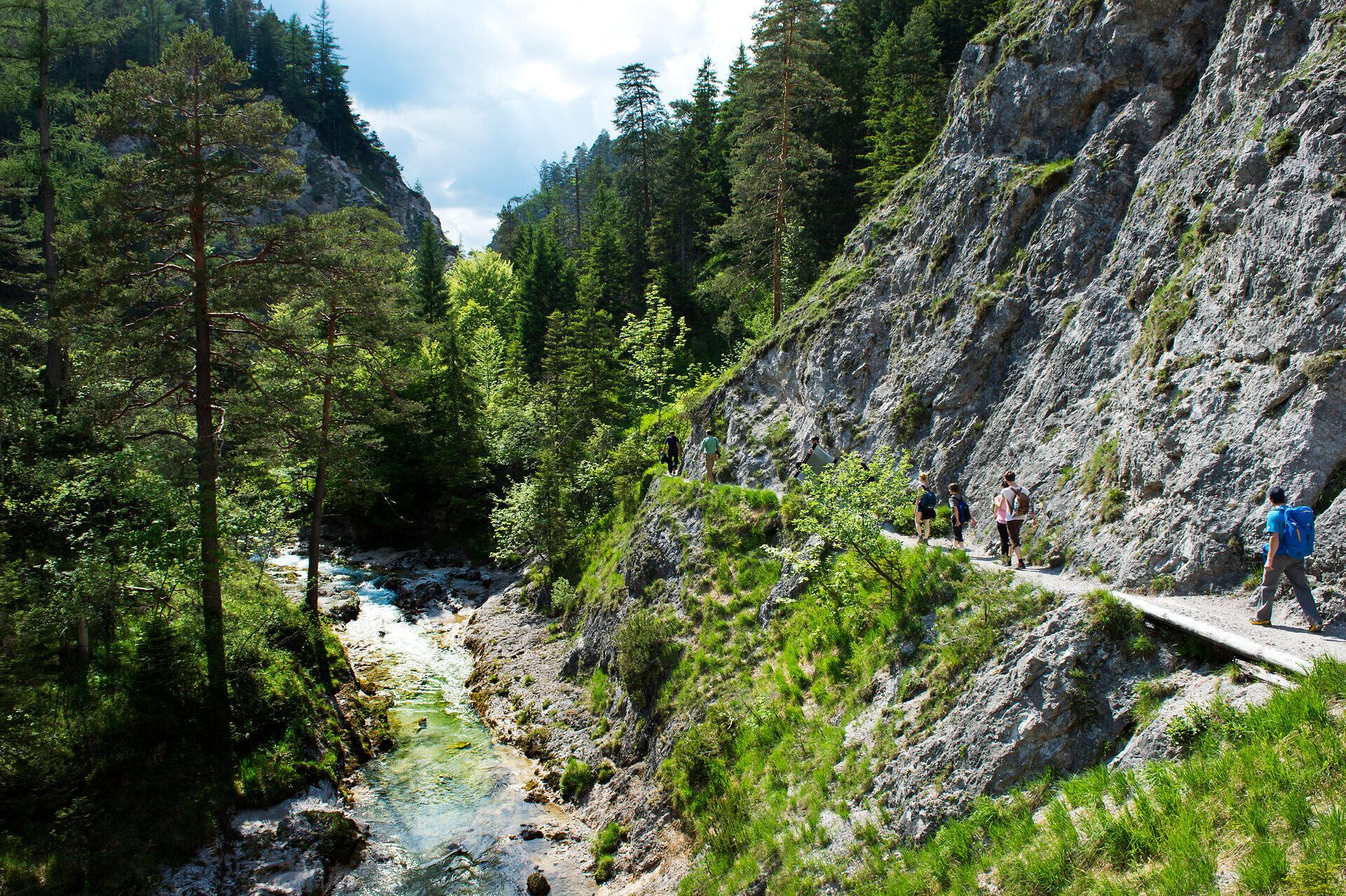 Die sanften Hügel und majestätischen Felsen umarmen den klaren Fluss, der durch die grüne Landschaft fließt. Wanderer genießen die frische Bergluft und die atemberaubenden Ausblicke, während sie auf schmalen Pfaden die Schönheit der Natur erkunden.