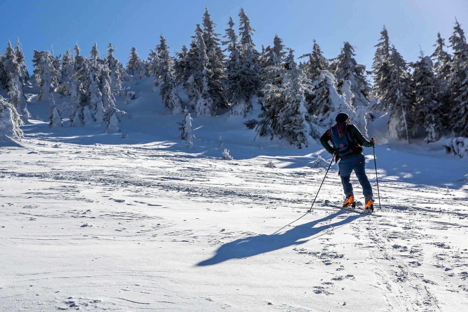 Die glitzernde Schneedecke erstreckt sich über die sanften Hügel, während ein Skitourengeher mit entschlossenen Schritten die unberührte Winterlandschaft erkundet. Die majestätischen, schneebedeckten Bäume umrahmen die Szenerie und schaffen eine friedliche Atmosphäre, die zum Verweilen einlädt.