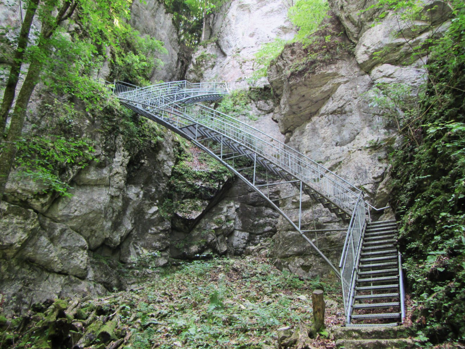Metalltreppe in einer felsigen Schlucht mit grüner Vegetation.