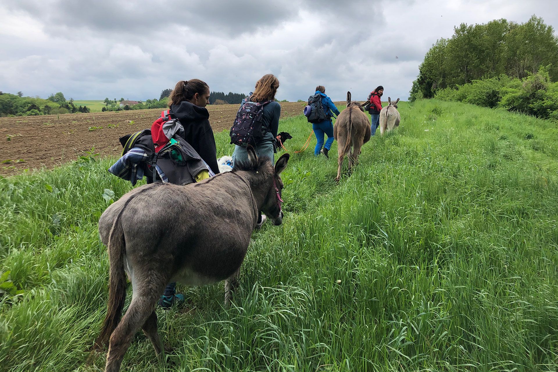 Eselwanderung am Esperanzahof