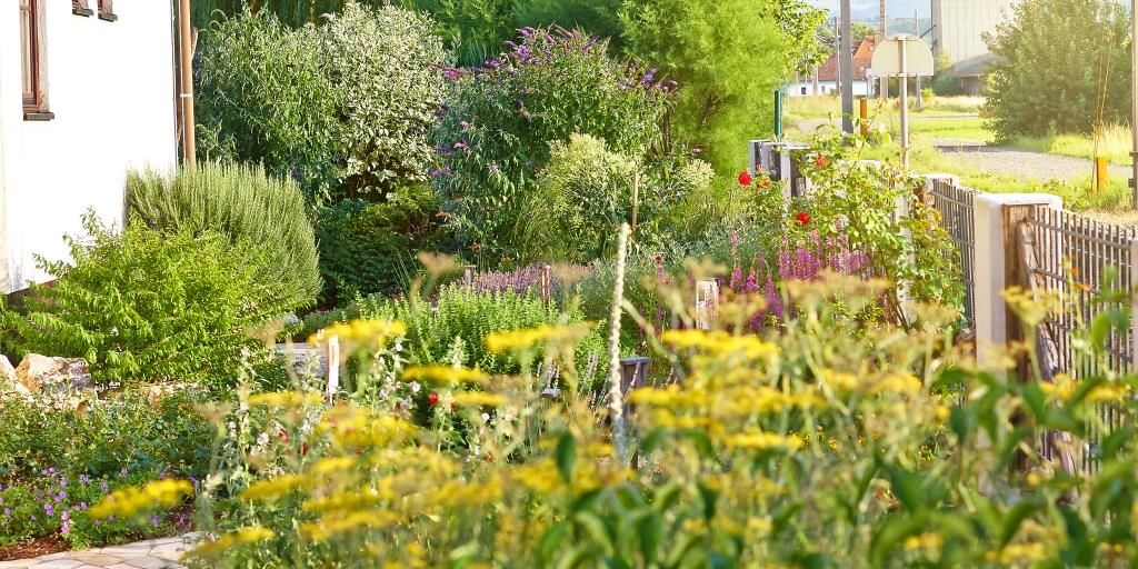 Ein üppiger Kräutergarten mit verschiedenen Pflanzen und Blumen neben einem Gebäude.