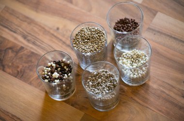 Biohanf, © Mostviertel Tourismus, schwarz-koenig.at