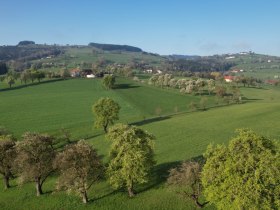 Am Weg zur Hubertuskapelle, &copy; Marktgemeinde Seitenstetten