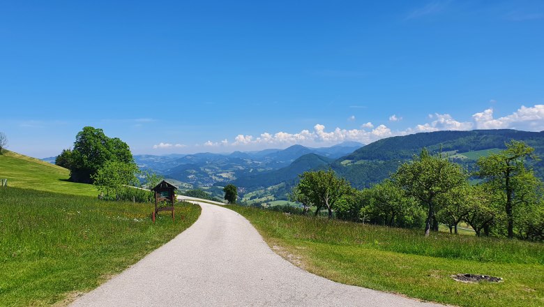 ÖtscherView, © Melanie Schweighuber