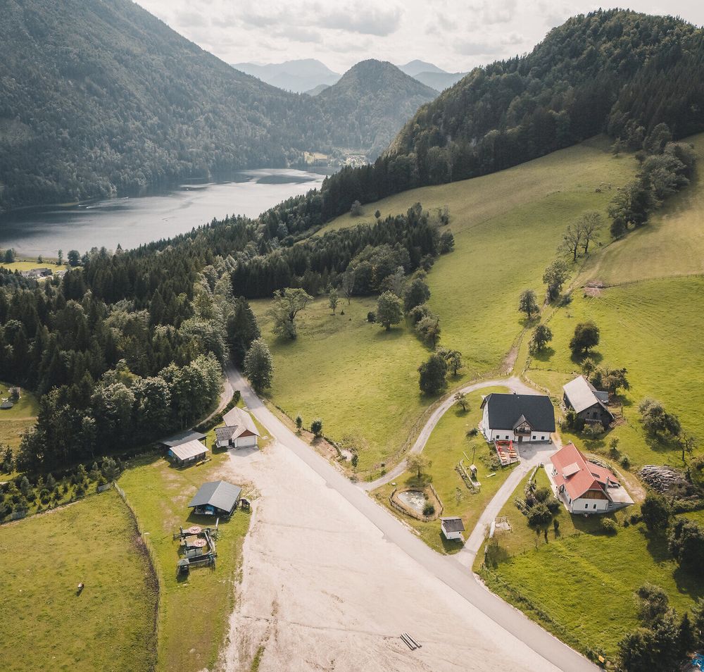 Die Rehbergweide liegt eingebettet in sanft geschwungene Wiesen am Fuße der Mostviertler Berge. Das helle Bauernhaus mit dunklem Dach und angrenzenden Nebengebäuden fügt sich harmonisch in di