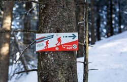 Die verschneiten Wälder rund um den Gr. Ötscher laden zu unvergesslichen Skitouren ein. Die klare, kalte Luft und die majestätischen Bäume schaffen eine magische Atmosphäre, die jeden Wintersportler begeistert. Hier erleben Sie die Schönheit der Natur in ihrer reinsten Form.