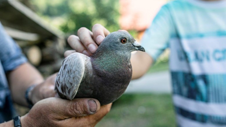 Vacation at the Zwergerlhof, &copy; schwarz-koenig.at