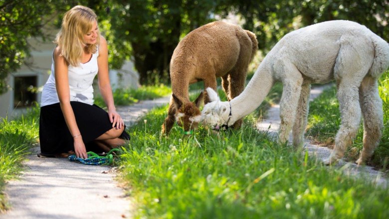 Break in the lush, green meadow, © Michael Aigner