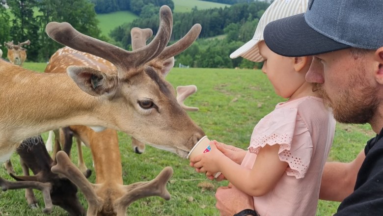 Nicht nur bei Familien beliebt: Wildpark Hochrie&szlig;, &copy; Hochrie&szlig;