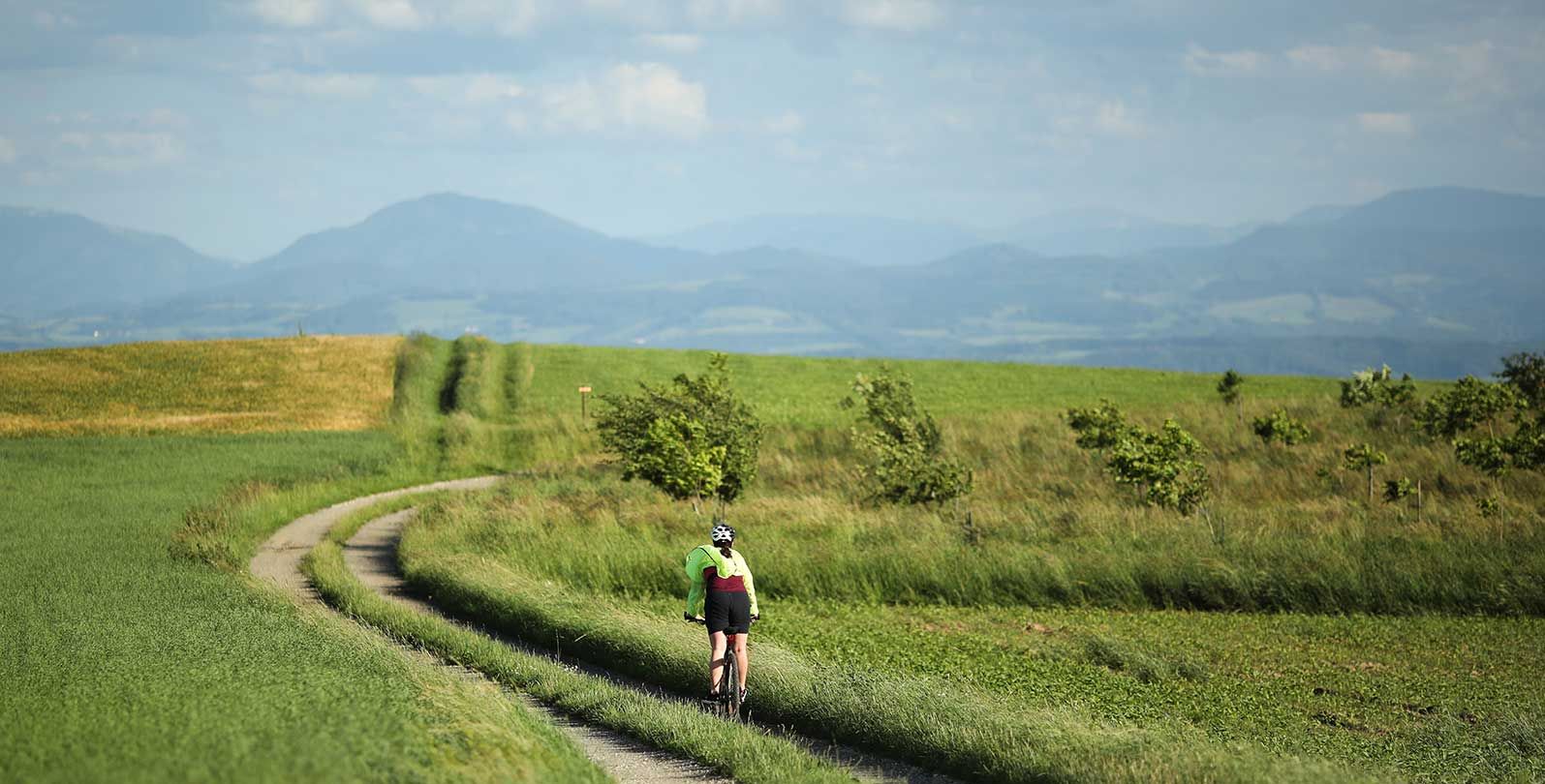 Radfahrerin auf einem Schotterweg entlang von Wiesen und Feldern. Im Hintergrund Hügel und Berge.