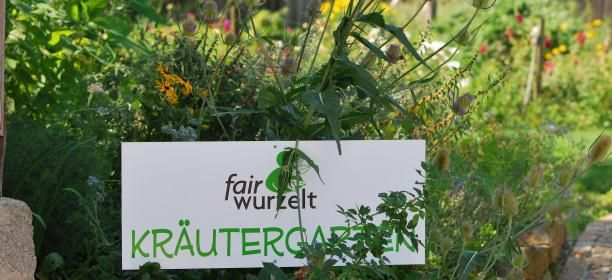Ein Schild mit der Aufschrift 'fairwurzelt Kräutergarten' steht inmitten von grünen Pflanzen und Blumen.