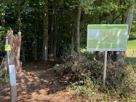 Pyhra Trail, &copy; MTB-Initiative St.P&ouml;lten