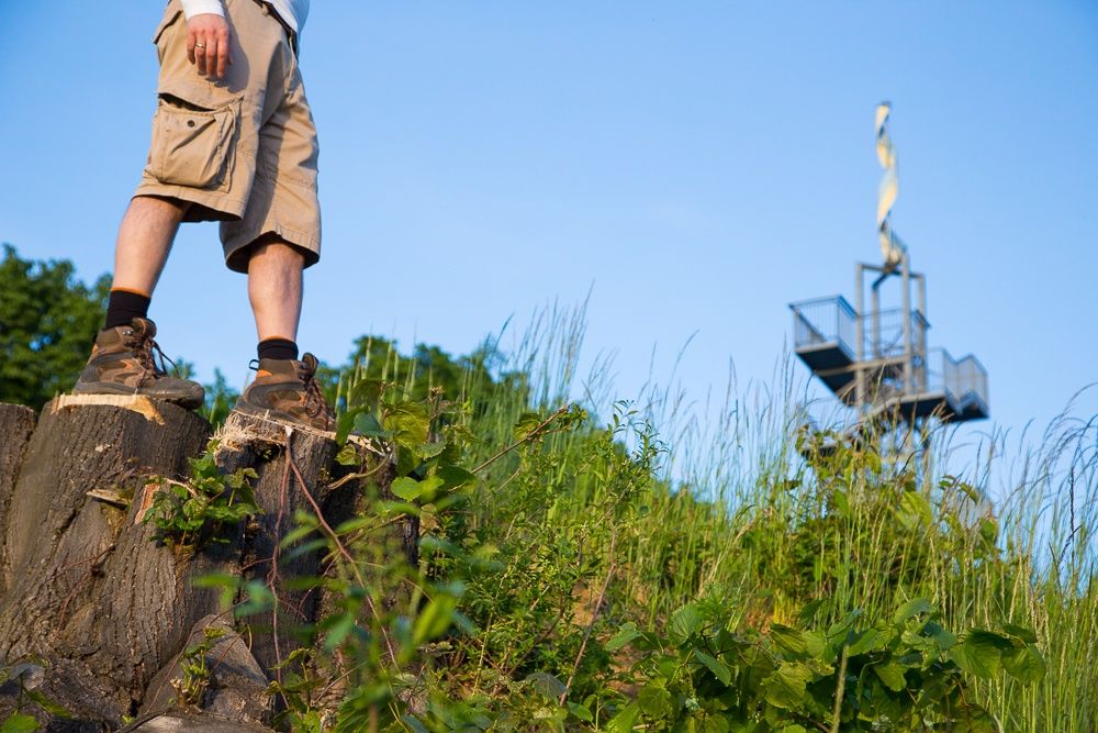 Person steht auf Baumstumpf mit Aussichtsturm im Hintergrund.