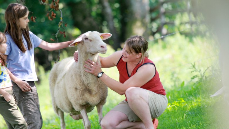 A woman and two children are stroking a sheep in a meadow.