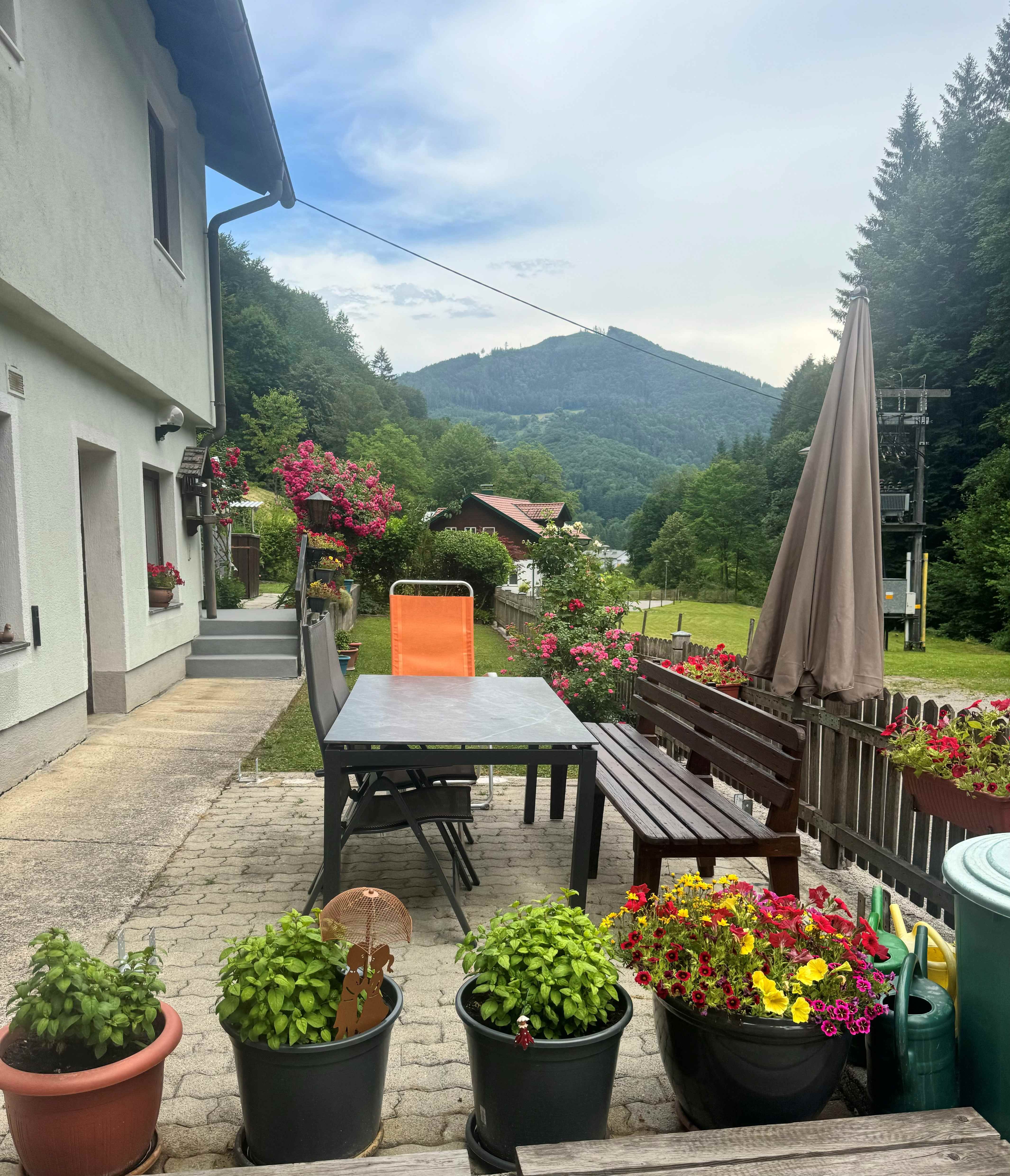 Terrasse einer Ferienwohnung mit Tisch, Stühlen und Blumen, umgeben von grünen Hügeln und Wald.