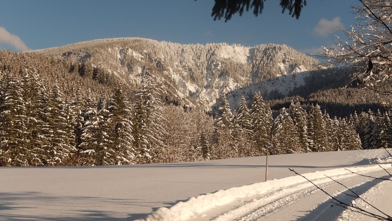 Langlaufen vor der Haust&uuml;re, &copy; Karin Redlsteiner