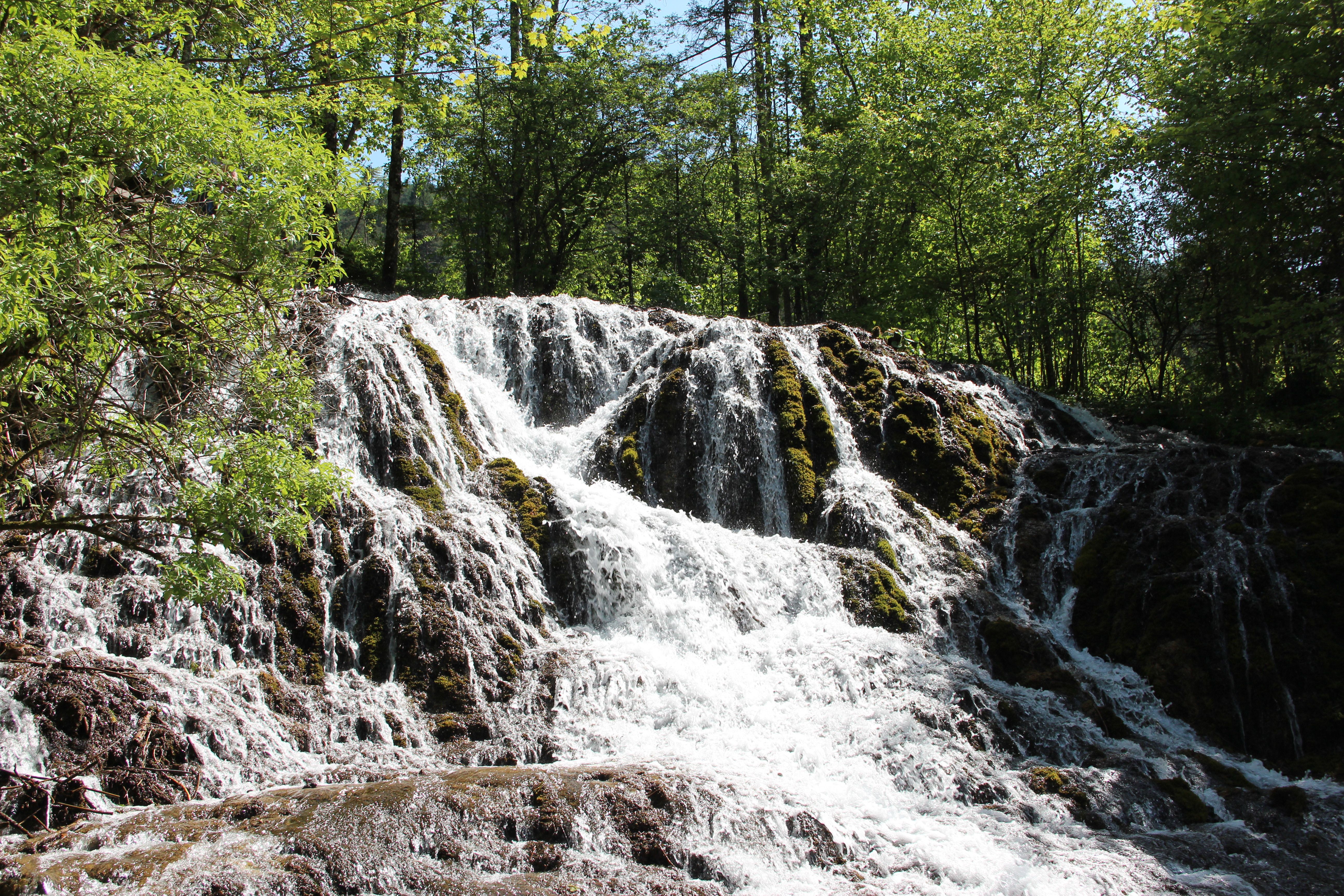 Ein Wasserfall fließt über moosbedeckte Felsen, umgeben von grünen Bäumen.
