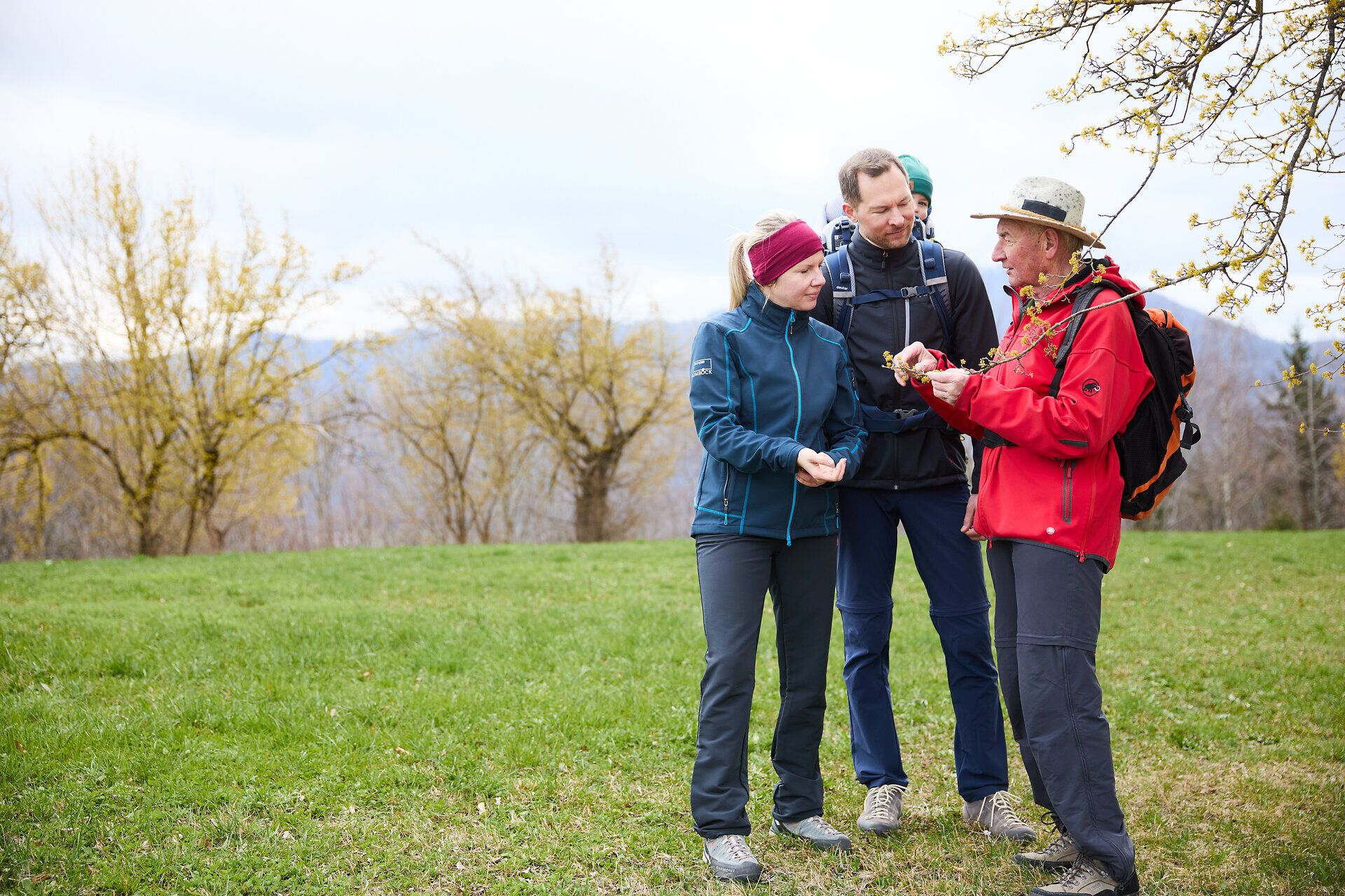 Inmitten der blühenden Natur genießen Wanderer die frische Frühlingsluft und die zauberhaften Dirndlblüten. Die fröhliche Atmosphäre und die inspirierenden Gespräche mit Naturvermittlern laden dazu ein, die Schönheit der Umgebung zu entdecken und sich von der Vielfalt der Pflanzen verzaubern zu lassen.