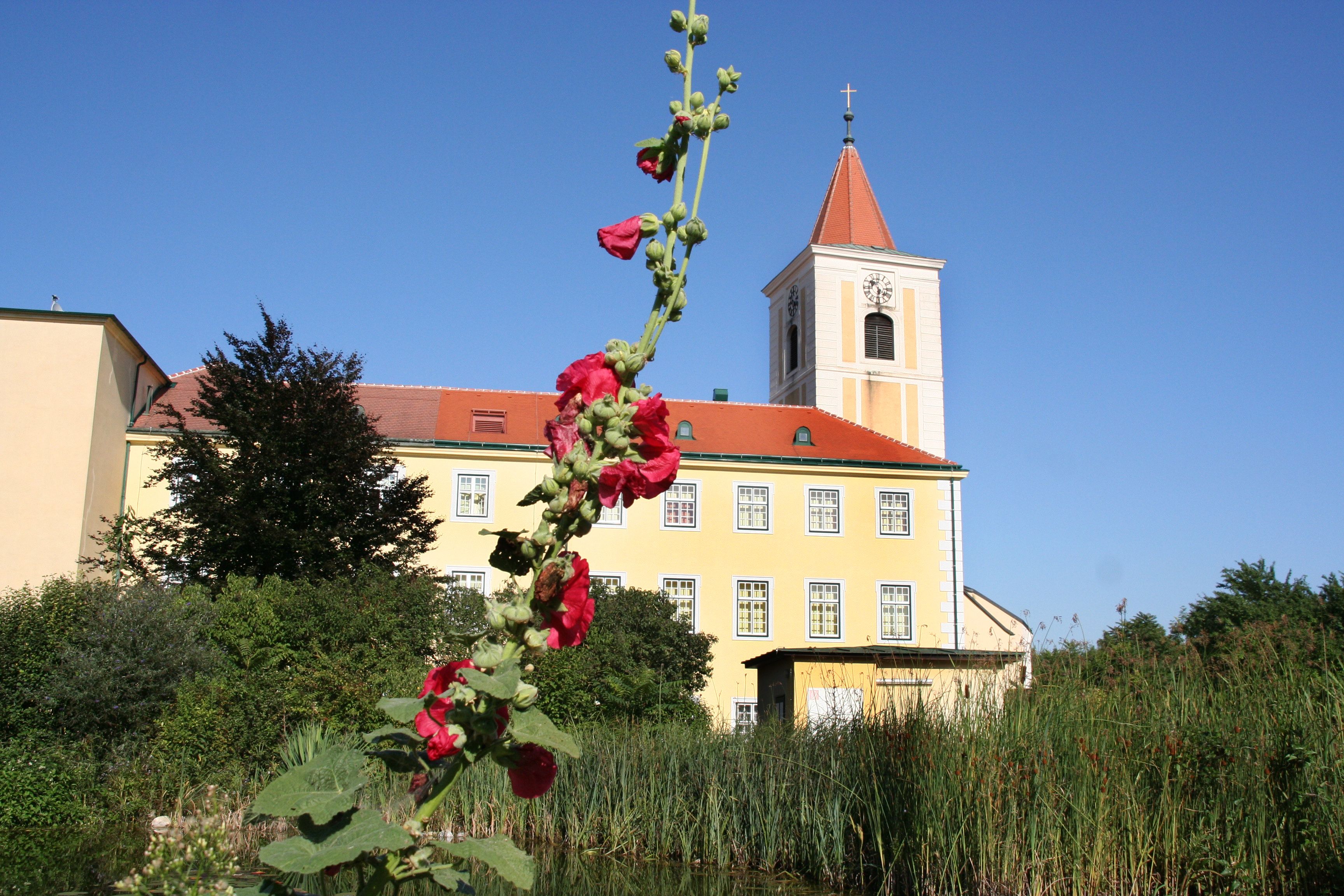 Kirche St. Andrä mit rotem Blumentrieb im Vordergrund.