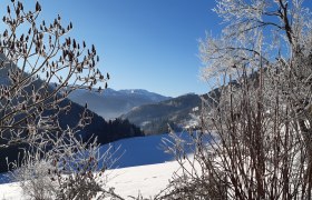 Poidlbauer, &copy; Poidlbauer