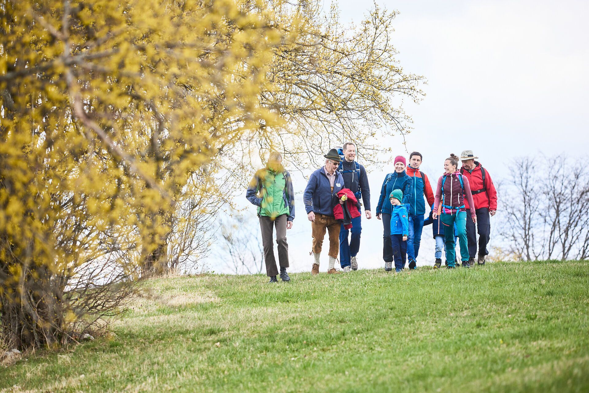 Eine Gruppe fröhlicher Wanderer genießt die frische Frühlingsluft und die blühenden Dirndlsträucher, während sie durch die malerische Landschaft des Pielachtals spaziert. Die bunten Farben der Kleidung harmonieren perfekt mit der blühenden Natur und schaffen eine einladende Atmosphäre für alle Naturliebhaber.