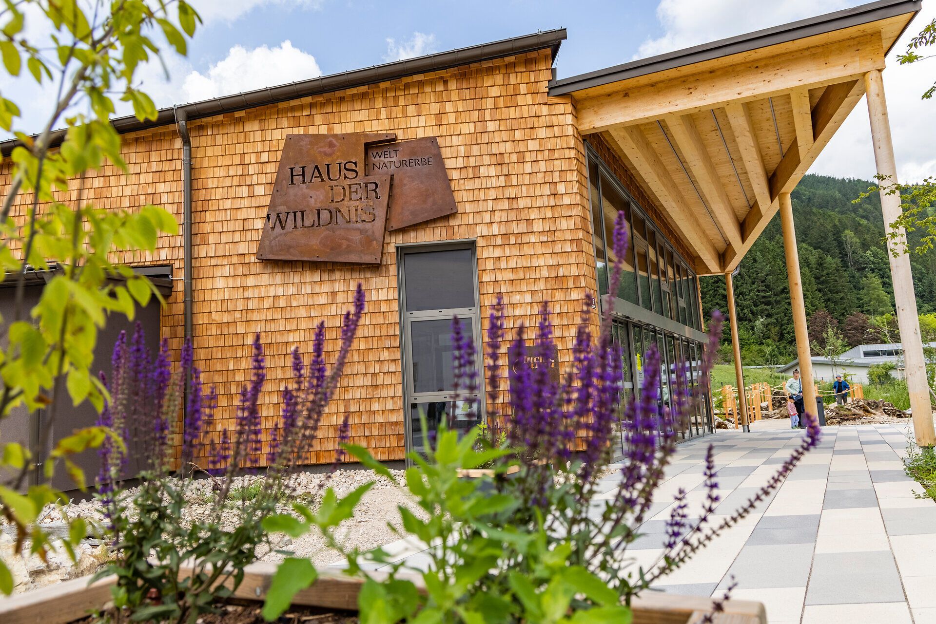 Das Haus der Wildnis strahlt eine einladende Atmosphäre aus, umgeben von der majestätischen Natur des Wildnisgebiets Dürrenstein-Lassingtal. Die harmonische Verbindung von Holz und Glas schafft einen perfekten Ort, um die Schönheit der Umgebung zu genießen und mehr über die heimische Flora und Fauna zu erfahren.